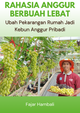 Rahasia Anggur Berbuah Lebat